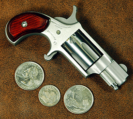 How Small is Too Small - The NAA Mini Revolver