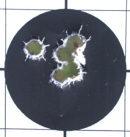 Smith & Wesson model 64 target